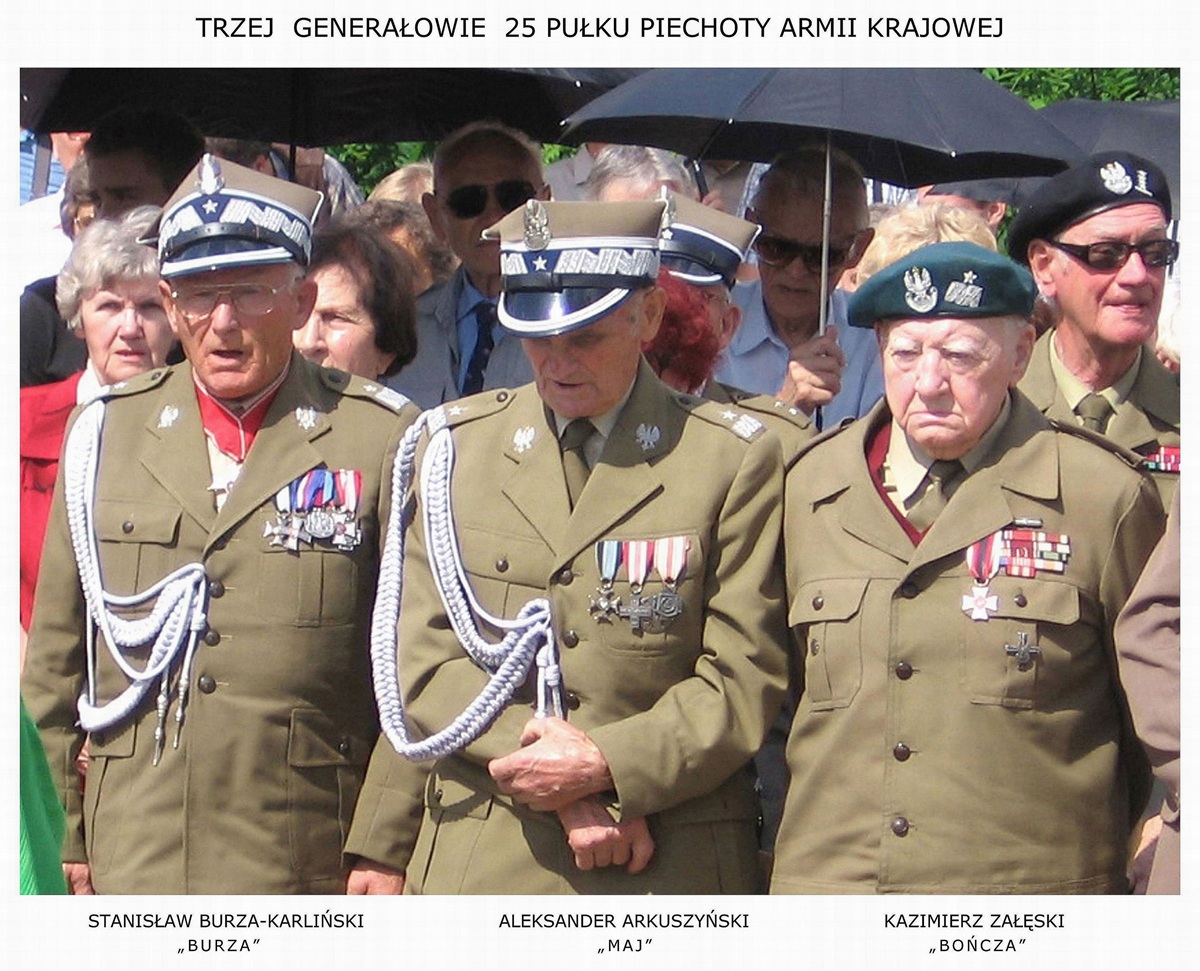 Trzej generałowie 25 pp AK, Diabla Góra `2008